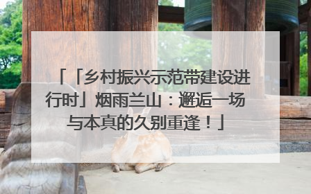 「乡村振兴示范带建设进行时」烟雨兰山：邂逅一场与本真的久别重逢！
