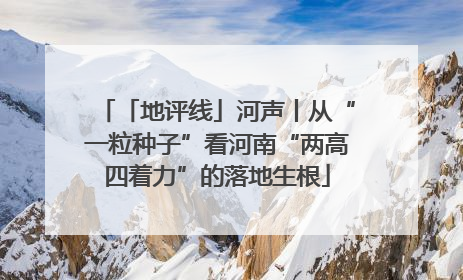 「地评线」河声丨从“一粒种子”看河南“两高四着力”的落地生根
