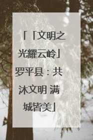 「文明之光耀云岭」罗平县：共沐文明 满城皆美