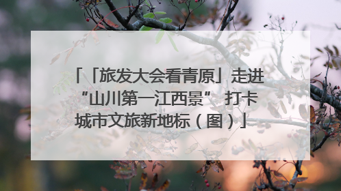 「旅发大会看青原」走进“山川第一江西景” 打卡城市文旅新地标（图）