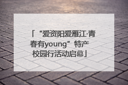 “爱资阳爱雁江·青春有young”特产校园行活动启幕