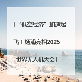 “低空经济”加速起飞！杨浦亮相2025世界无人机大会