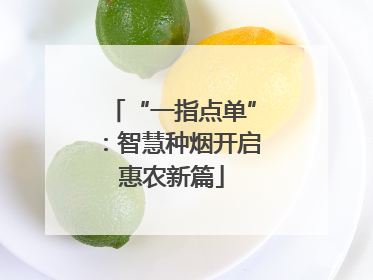 “一指点单”：智慧种烟开启惠农新篇