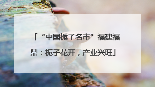 “中国栀子名市”福建福鼎：栀子花开，产业兴旺