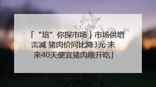 “培”你探市场｜市场供增需减 猪肉价同比降3元 未来40天便宜猪肉敞开吃