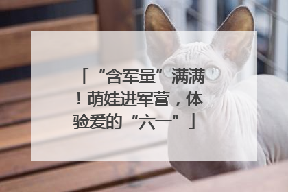 “含军量”满满！萌娃进军营，体验爱的“六一”