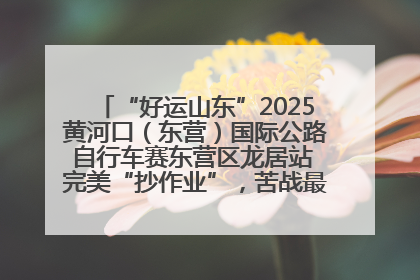 “好运山东”2025黄河口（东营）国际公路自行车赛东营区龙居站 完美“抄作业”，苦战最后时刻黄衫易主