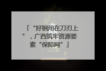 “好钢用在刀刃上”，广西筑牢资源要素“保障网”