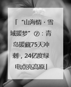 “山海情・雪域援梦”⑦：青岛援藏75天冲刺，24亿度绿电点亮高原