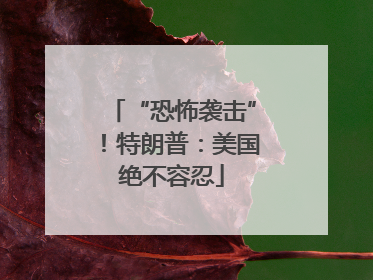 “恐怖袭击”！特朗普：美国绝不容忍