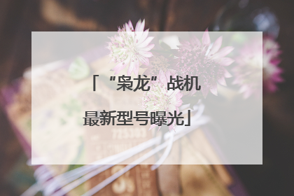 “枭龙”战机最新型号曝光