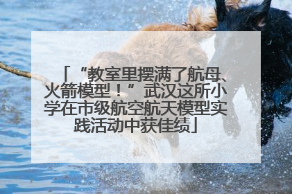 “教室里摆满了航母、火箭模型！”武汉这所小学在市级航空航天模型实践活动中获佳绩