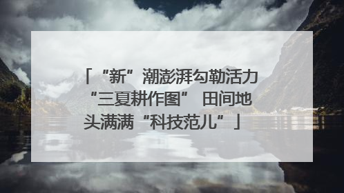 “新”潮澎湃勾勒活力“三夏耕作图” 田间地头满满“科技范儿”