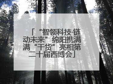 “智领科技·链动未来”绵阳携满满“干货”亮相第二十届西博会