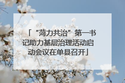 “菏力共治”第一书记助力基层治理活动启动会议在单县召开