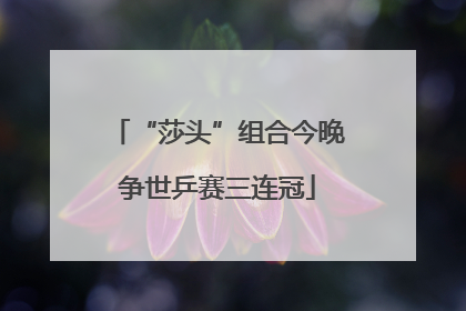 “莎头”组合今晚争世乒赛三连冠