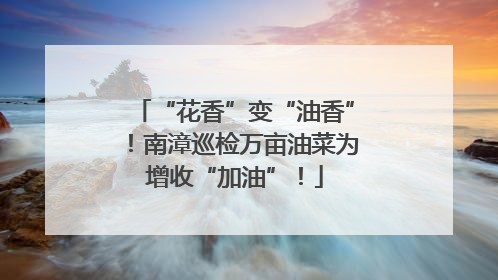 “花香”变“油香”！南漳巡检万亩油菜为增收“加油”！
