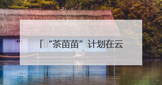 “茶苗苗”计划在云南保山启动 为留守困境儿童三餐“加肉”