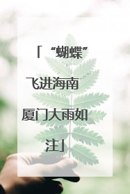 “蝴蝶”飞进海南 厦门大雨如注