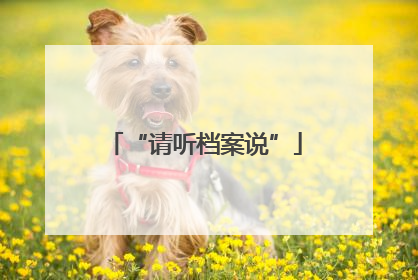 “请听档案说”