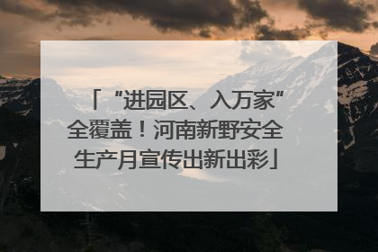 “进园区、入万家”全覆盖！河南新野安全生产月宣传出新出彩
