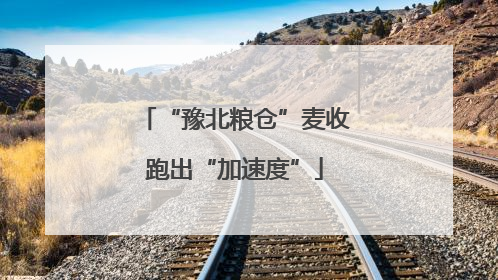 “豫北粮仓”麦收跑出“加速度”
