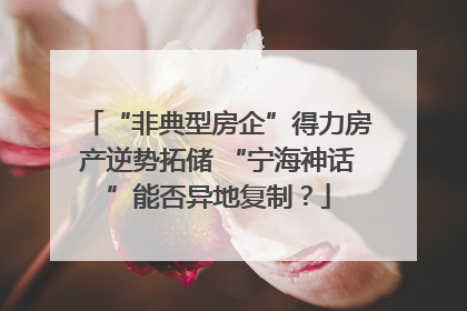 “非典型房企”得力房产逆势拓储 “宁海神话”能否异地复制？