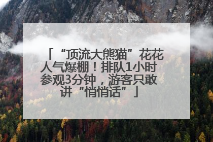 “顶流大熊猫”花花人气爆棚！排队1小时参观3分钟，游客只敢讲“悄悄话”