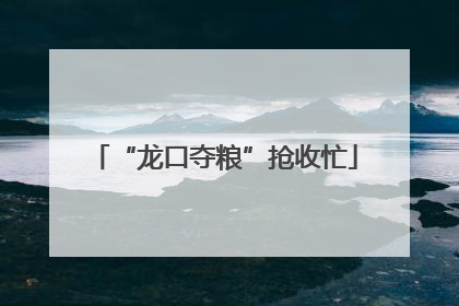 “龙口夺粮”抢收忙