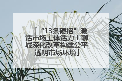 “13条硬招”激活市场主体活力！聊城深化改革构建公平透明市场环境
