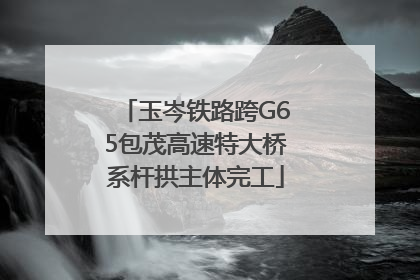 玉岑铁路跨G65包茂高速特大桥系杆拱主体完工