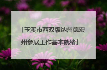 玉溪市西双版纳州德宏州参展工作基本就绪