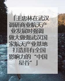 王忠林在武汉调研商业航天产业发展时强调 做大做强武汉国家航天产业基地 打造具有全国影响力的“中国星谷”
