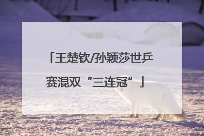 王楚钦/孙颖莎世乒赛混双“三连冠”