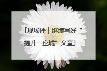 现场评｜继续写好“提升一座城”文章