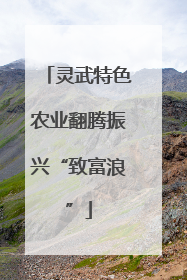 灵武特色农业翻腾振兴“致富浪”