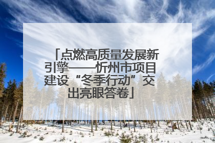 点燃高质量发展新引擎——忻州市项目建设“冬季行动”交出亮眼答卷