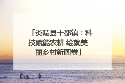 炎陵县十都镇：科技赋能农耕 绘就美丽乡村新画卷