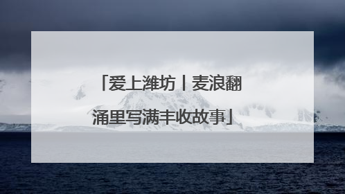 爱上潍坊丨麦浪翻涌里写满丰收故事