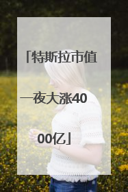 特斯拉市值一夜大涨4000亿