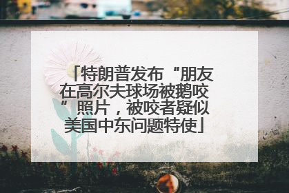 特朗普发布“朋友在高尔夫球场被鹅咬”照片，被咬者疑似美国中东问题特使
