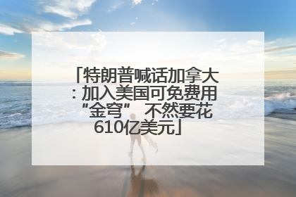 特朗普喊话加拿大：加入美国可免费用“金穹” 不然要花610亿美元