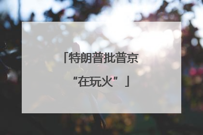 特朗普批普京“在玩火”