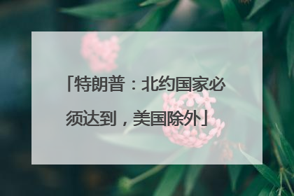 特朗普：北约国家必须达到，美国除外