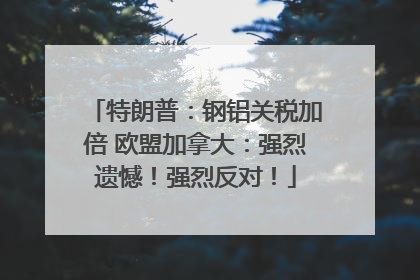 特朗普：钢铝关税加倍 欧盟加拿大：强烈遗憾！强烈反对！