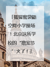 狐獴蜜袋鼯空降小学操场！北京这所学校的“撸宠节”火了！
