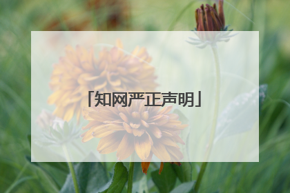 知网严正声明
