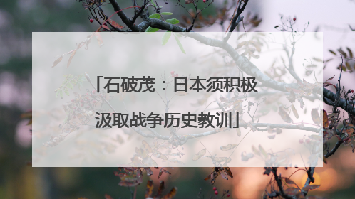 石破茂：日本须积极汲取战争历史教训