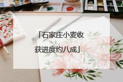 石家庄小麦收获进度约八成