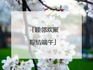 睦邻欢聚 粽情端午